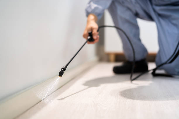 Licensed Pest Control service in Swannanoa, NC - Show Me Pest Control