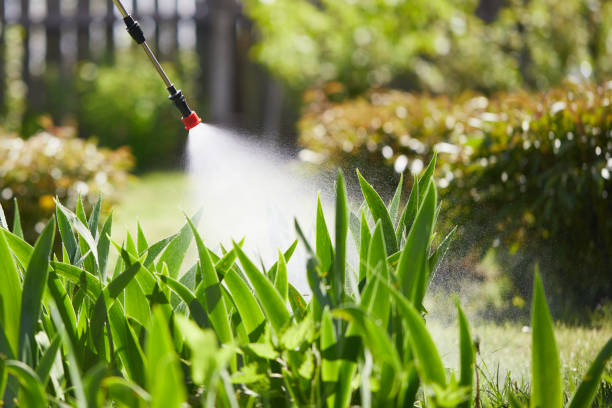 Tamper-Resistant Bait Stations for Rodents in Swannanoa