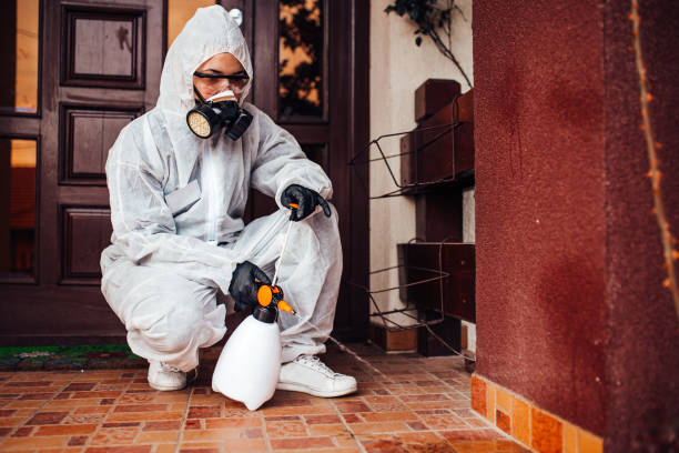 Attic and Crawl Space Rodent Treatment in Swannanoa